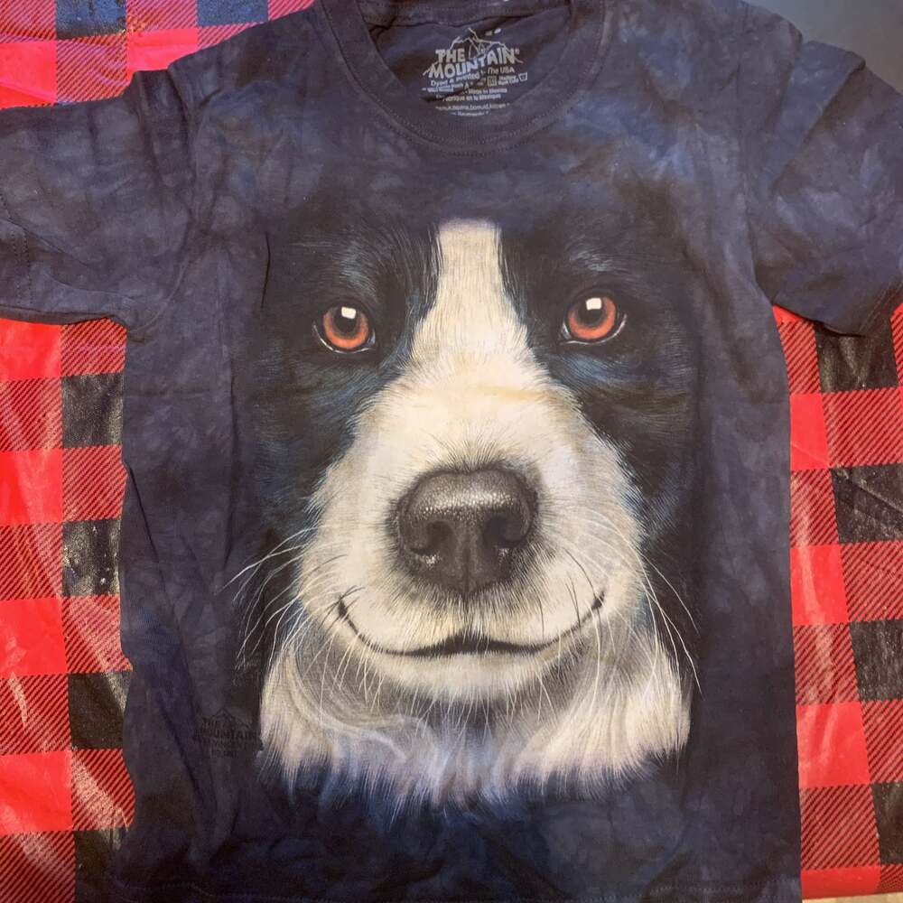 The Mountain kids small